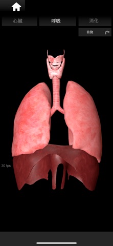ORGANS 3D (ANATOMY) screenshot