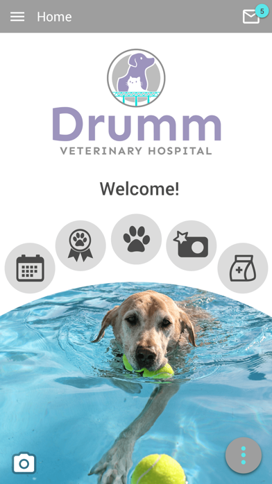Drumm Vet Hospital Screenshot