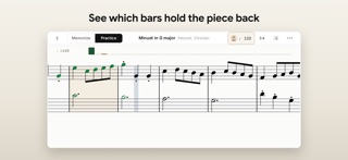 Clef: Learn & Memorize Piano Screenshot 3 of 4