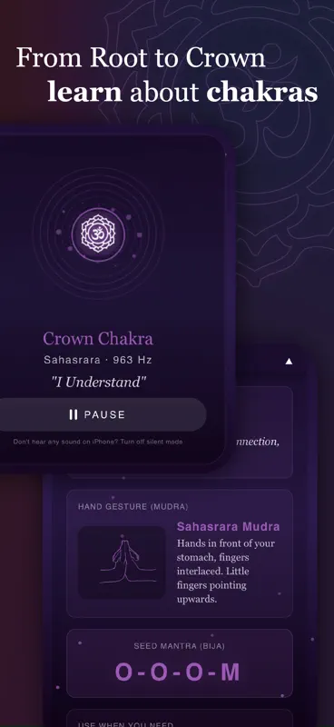 Chakradio screenshot 5 of 5