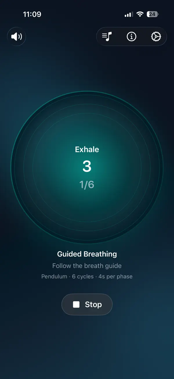 Screenshot #2 pour AirFlow | Breath Control