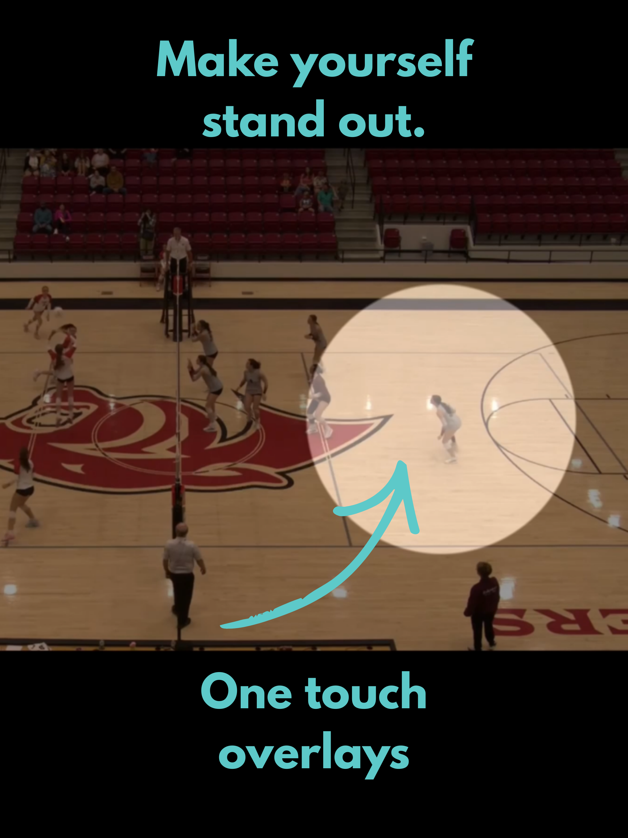 Volleyball Highlights