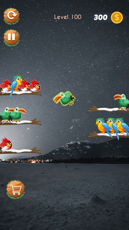 Birds Sort Puzzle Game