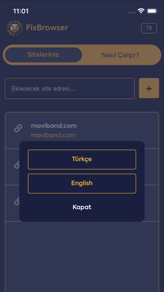 #2. Fix Browser (iOS) Bởi: As Maviband