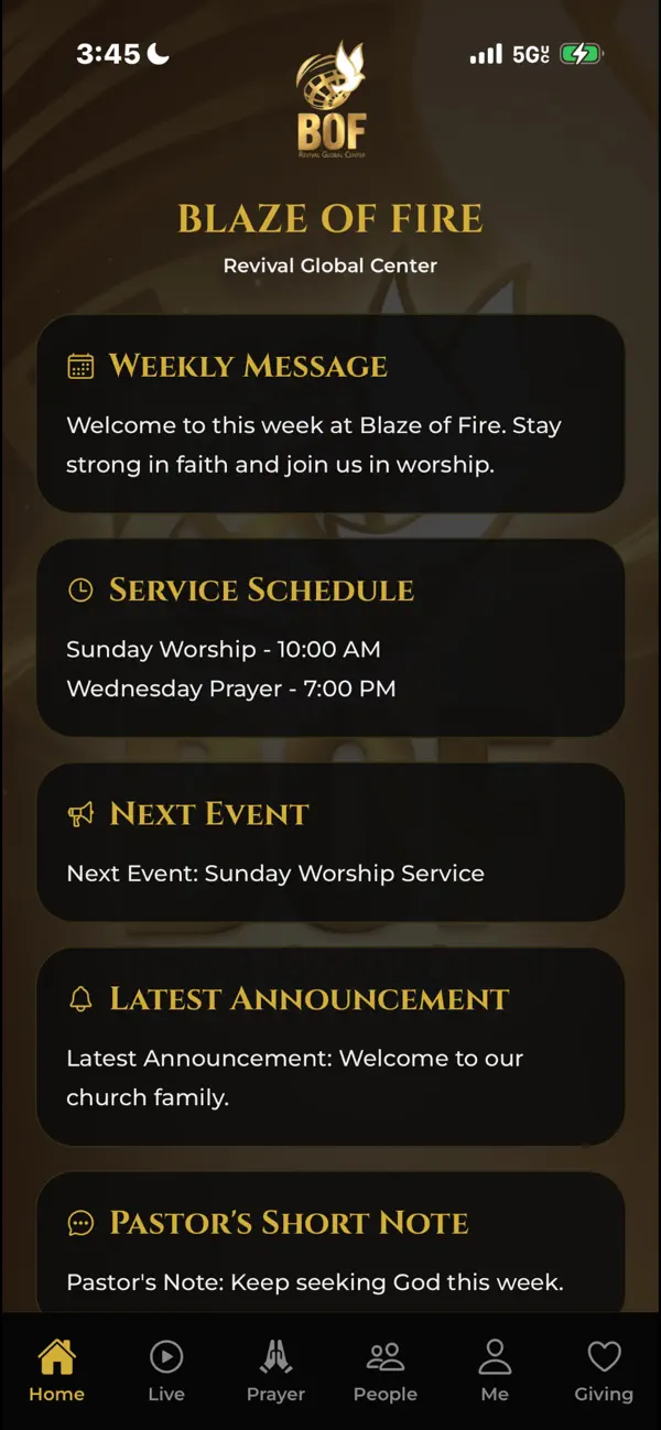 Screenshot #3 pour BlazeoffireApp