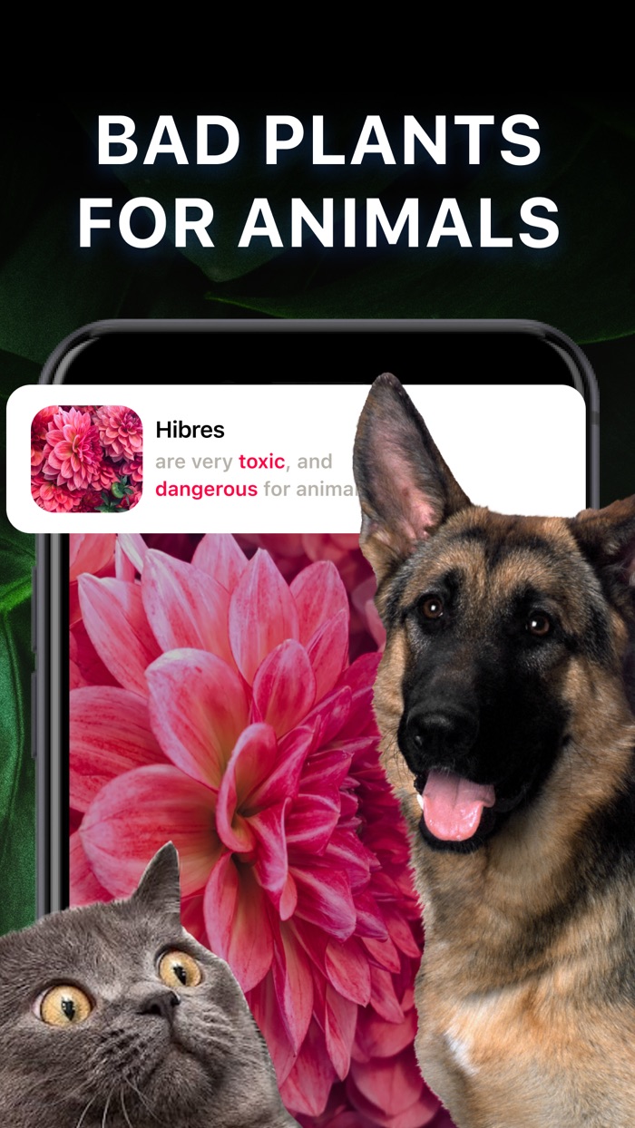 Plant Identifier by Photo 2024