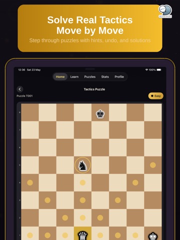 Chess Tactics Academy by CS iPad screenshot