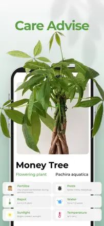 Plant AI : capture d’écran 2 sur 5