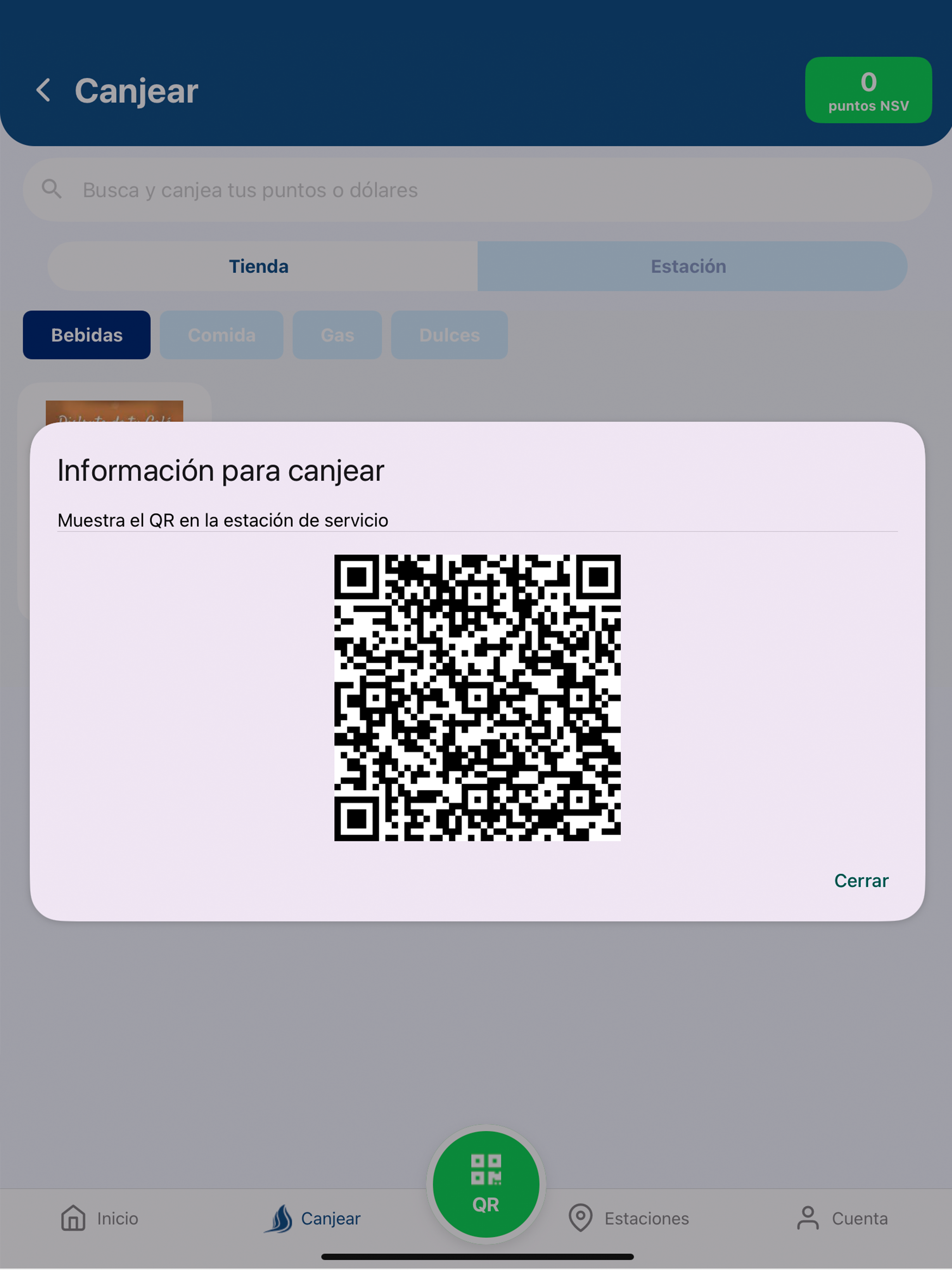 Grupo NSV screenshot 8