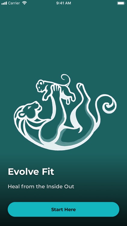 FitEvolve
