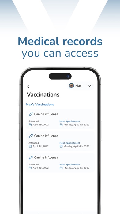 modernvet Screenshot