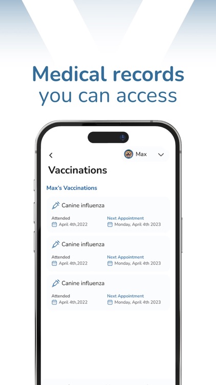 modernvet screenshot-4
