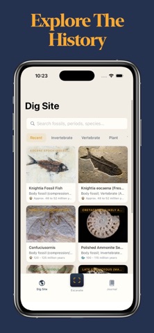 Fossil Identifier Screenshot 3 of 3