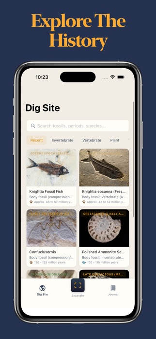 Fossil Identifier Screenshot 3 of 3