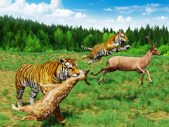 Tiger Simulator Hunting Games