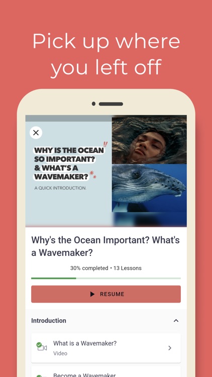 Wavemakers by Ocean Generation