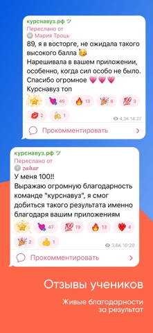 Screenshot 3 of ЕГЭ Литература App