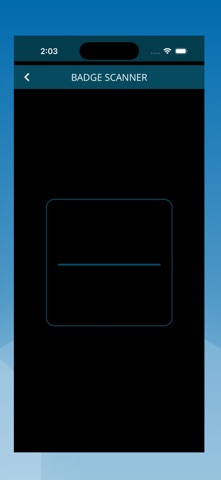 IICS CONNECT screenshot