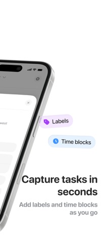 Flick Planner: Tasks Calendar iPhone screenshot