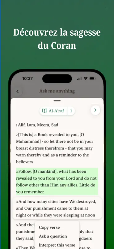Deen Buddy: AI Chat Coranique screenshot 5 of 5
