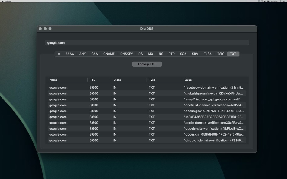 #3. Dig DNS (macOS) โดย: Mattebot, LLC