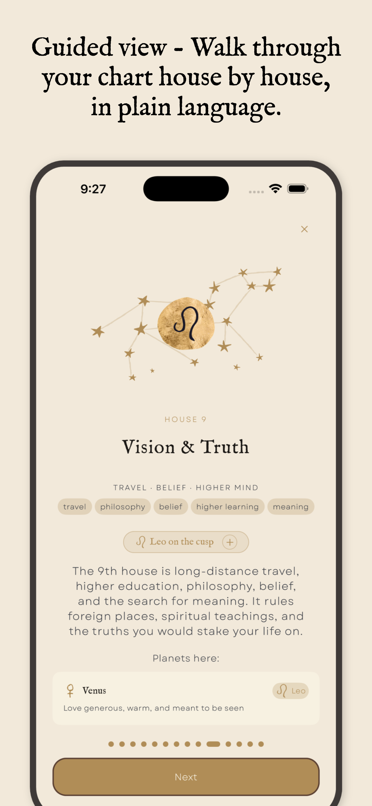 Rebel Spirit Tarot screenshot 10
