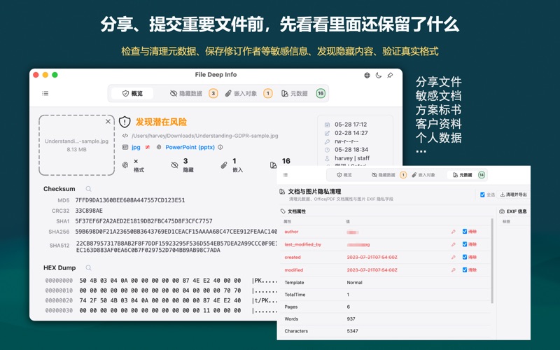 File Deep Info: 文件元数据与隐藏内容检查 screenshot