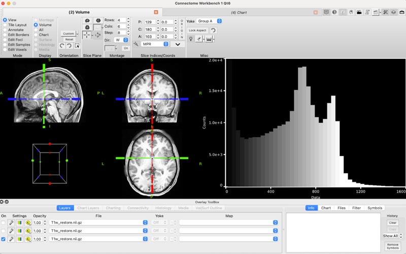 ConnectomeWorkbench app screenshot 2