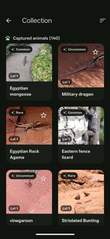Terracatch Screenshot 2 of 8