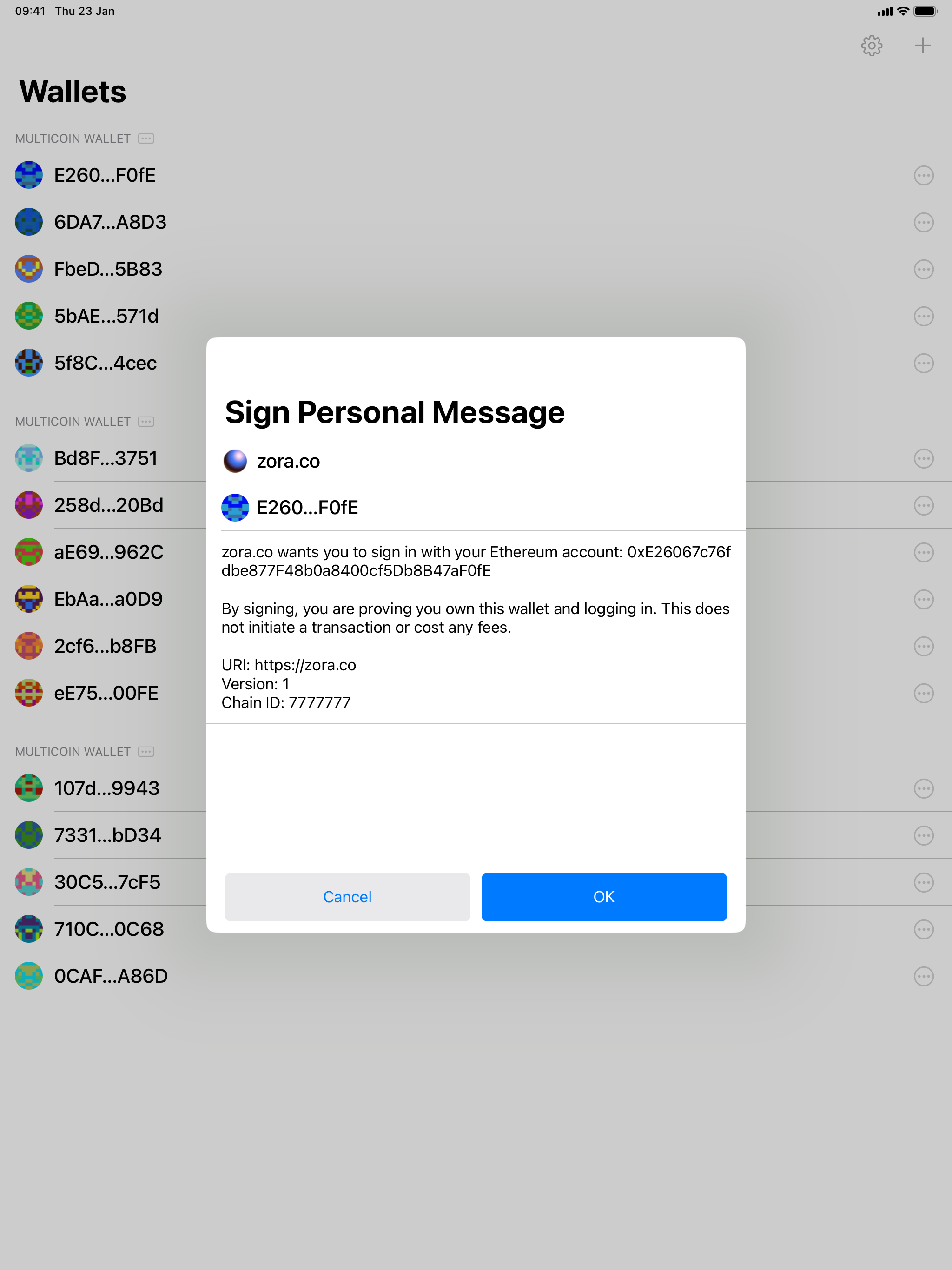 Big Wallet for Safari screenshot 6