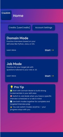 CrackInt screenshot