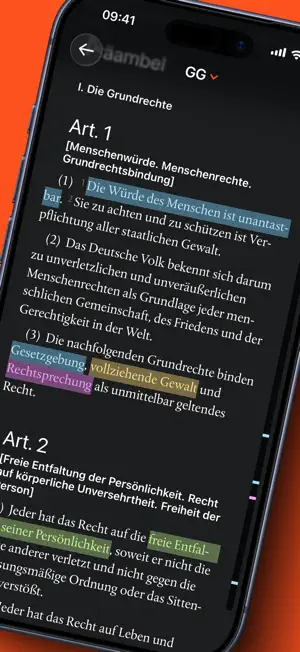 LX Gesetze. screenshot 4