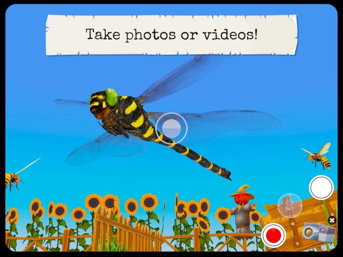 Bugs  Insects VR/AR Kid Game