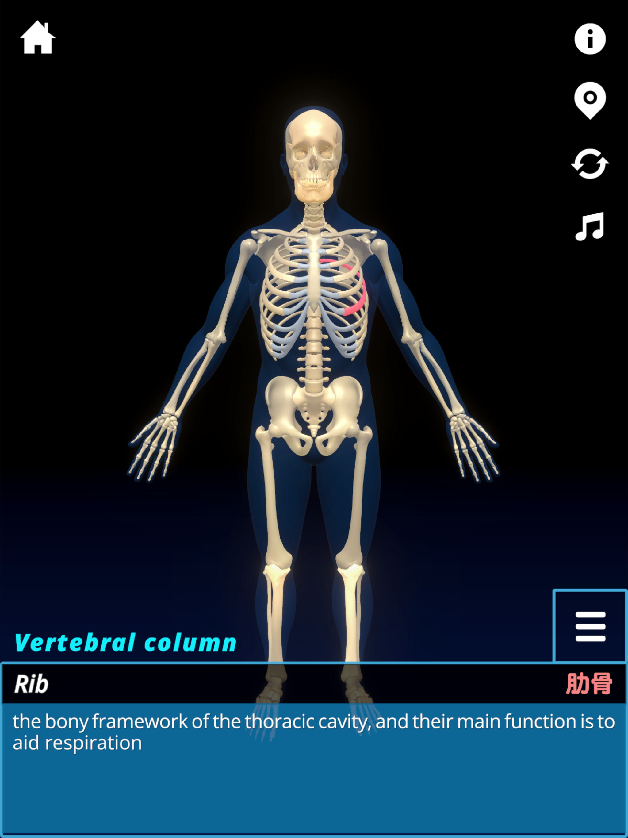 OsteoQuest