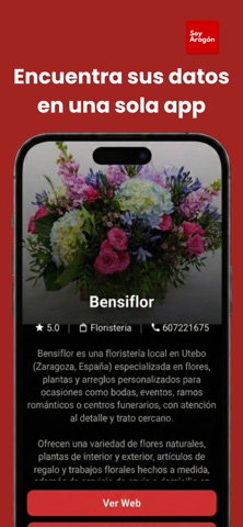 SoyAragón screenshot