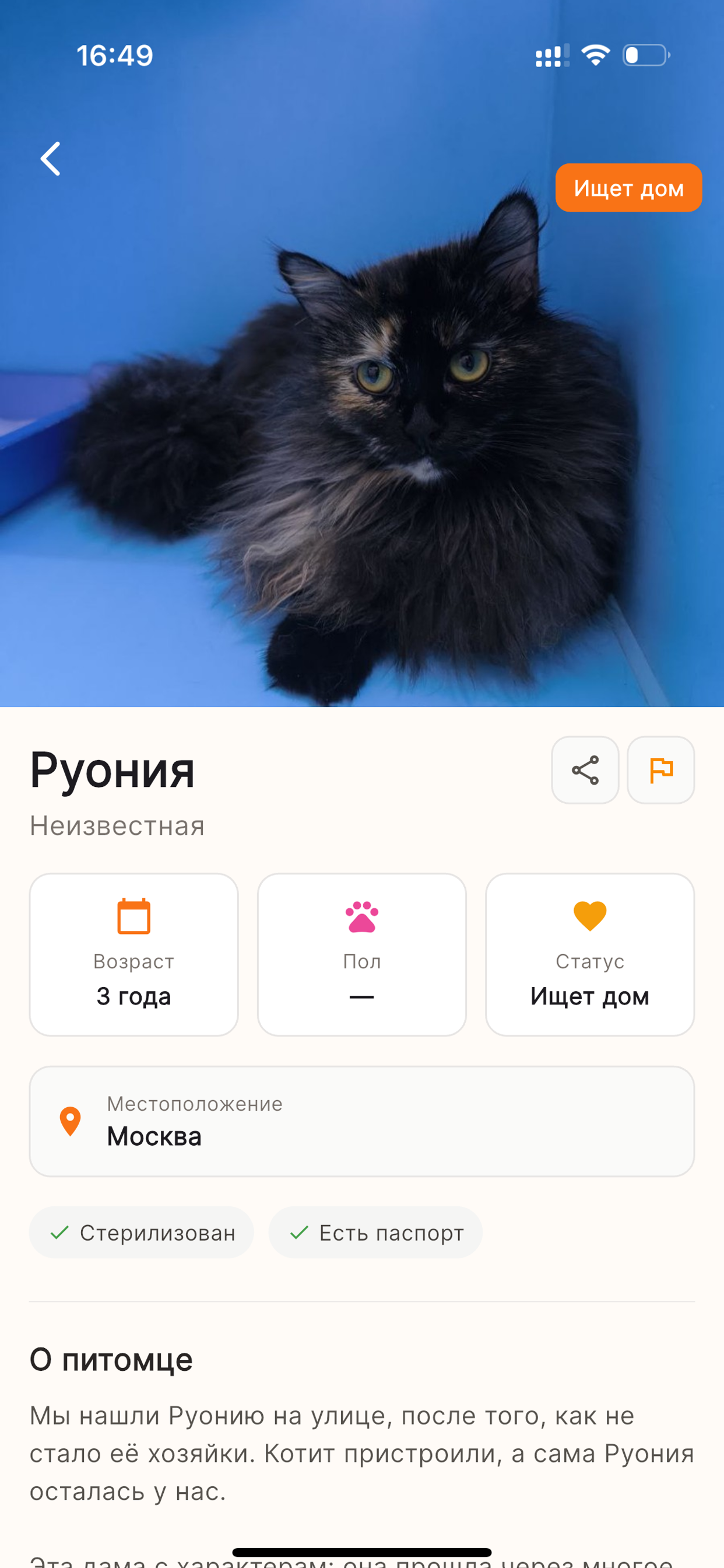 PawSocial