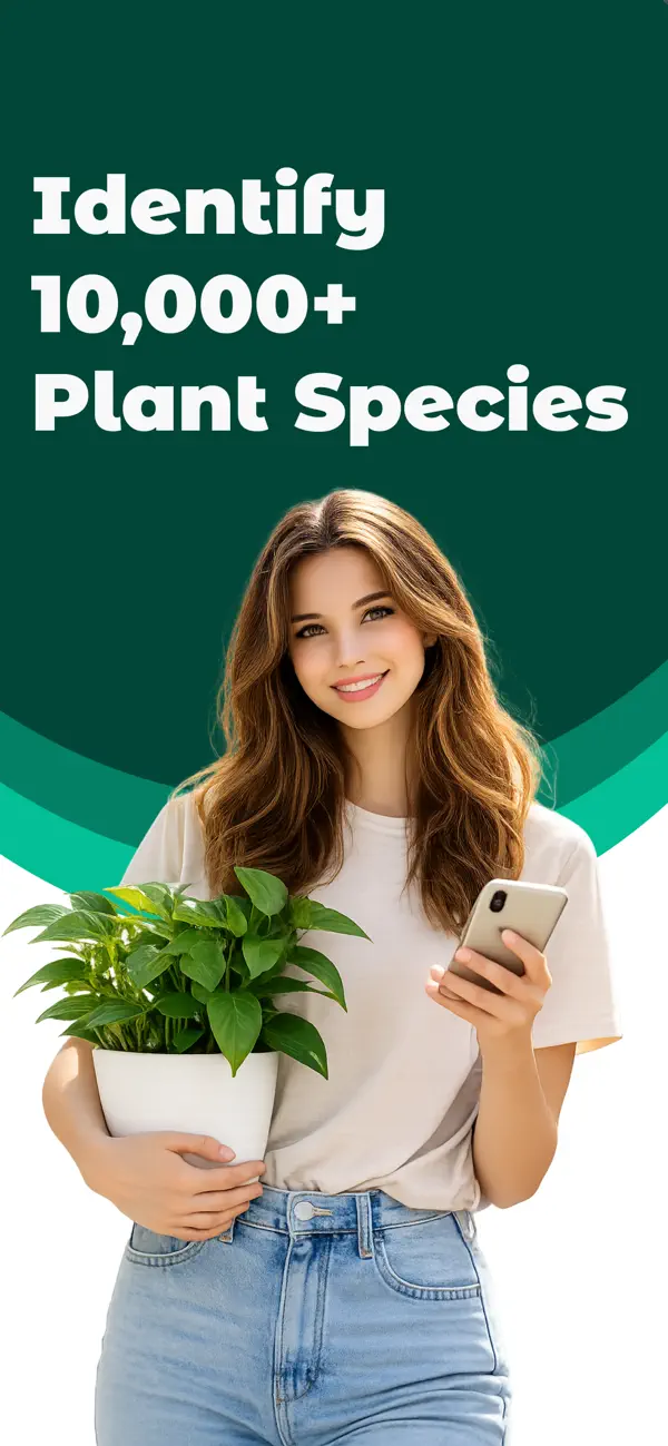 Screenshot #1 pour Flower Identifier: Florify