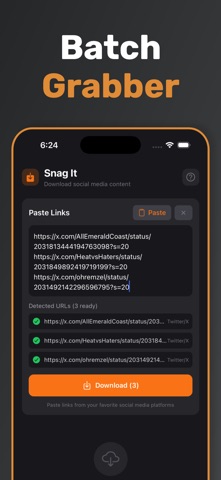 Snag It! screenshot