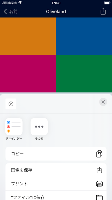 FlagDict+: 世界の国旗のスクリーンショット - 5