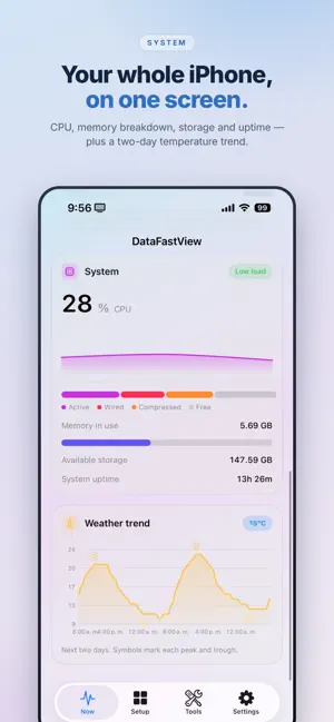 DataFastView screenshot 4