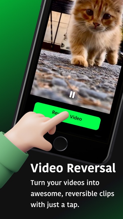 Reverse Video Clip screenshot-3