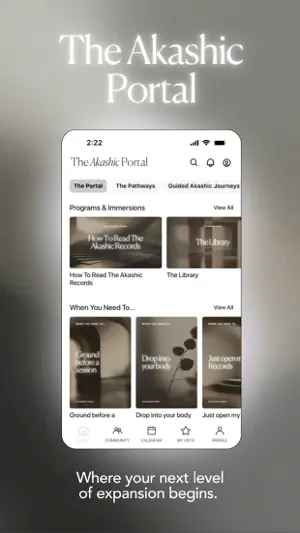 The Akashic Portal screenshot 1