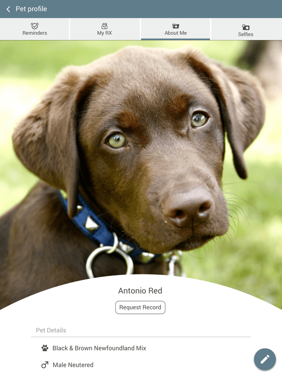 Pend Oreille Vet Service iPad screenshot 3 - Business app