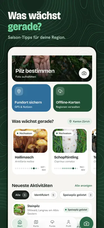 PilzFinder: Pilze per Foto-KI screenshot 7 of 9