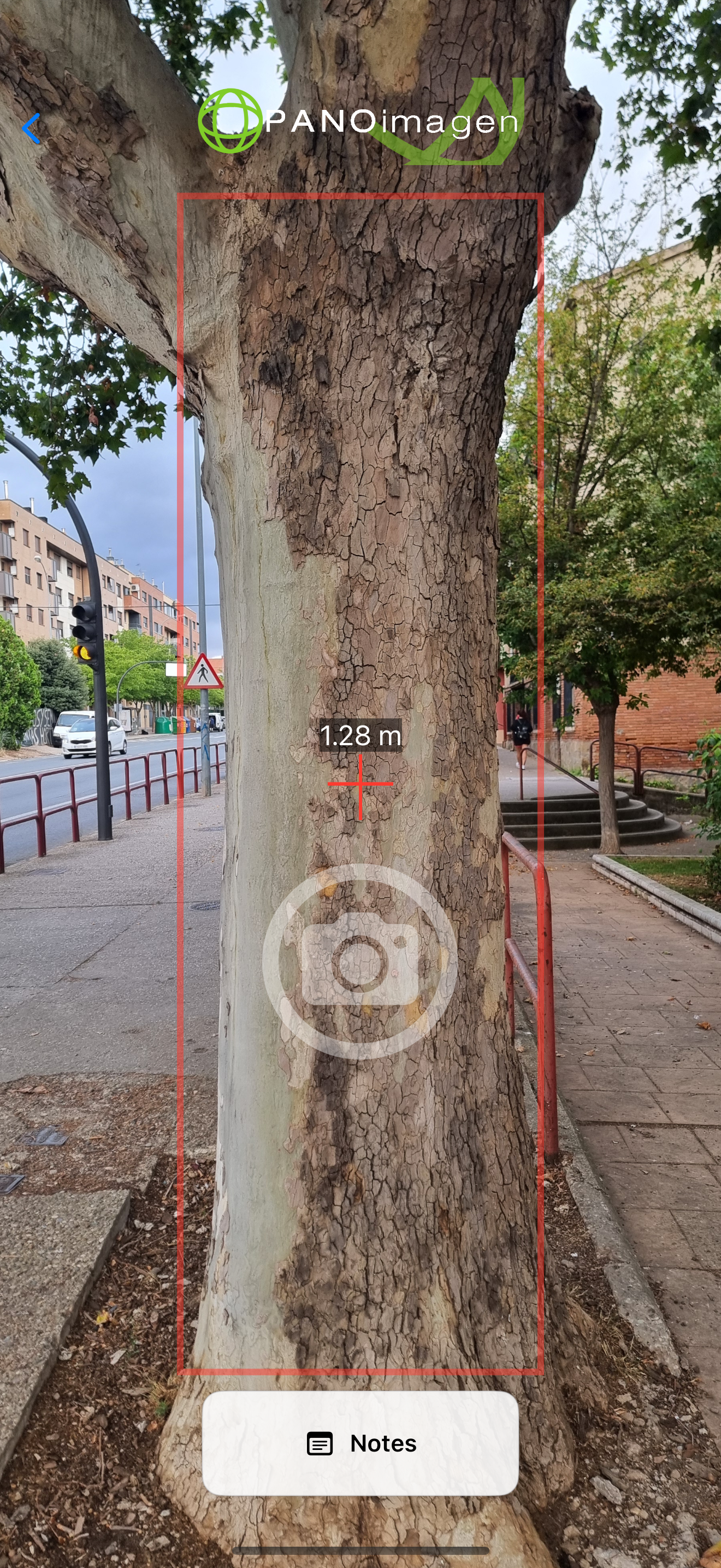 Diametree screenshot 4