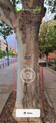 Diametree screenshot