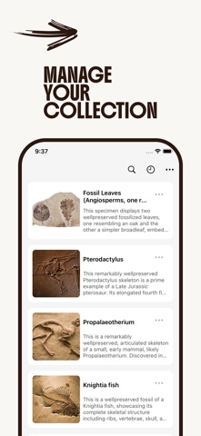 Fossil Identifier: AI Scanner Screenshot 4 of 5