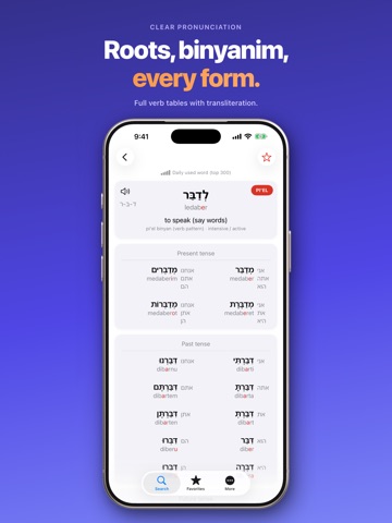 Verbik: Verb Forms Dictionary iPad screenshot