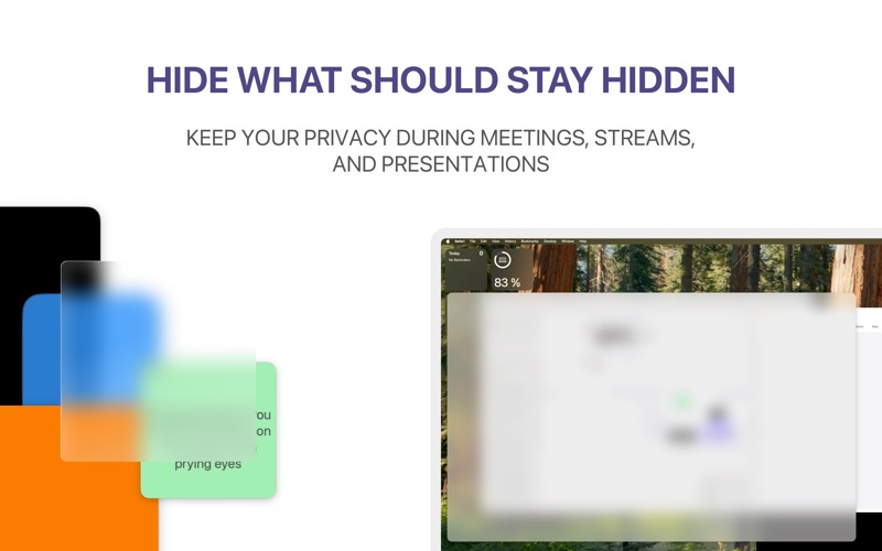ScreenVeil screenshot
