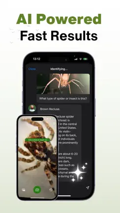 Spider Identifier - AI Scanner iPhone image 3